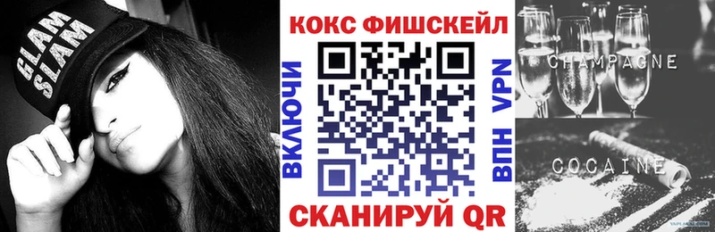 купить наркоту  Каргополь  ОМГ ОМГ сайт  COCAIN FishScale 