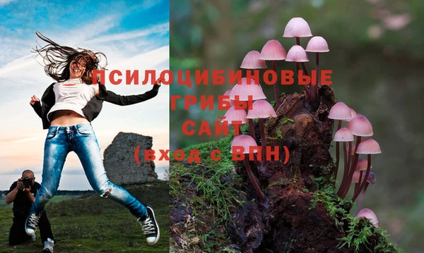 гашик Абаза