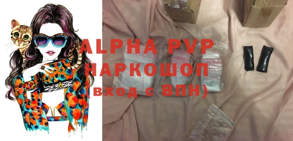 гашик Абаза