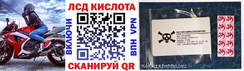 Марки 25I-NBOMe 1,8мг Каргополь