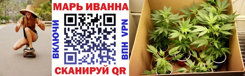 Бошки Шишки сатива  Каргополь 